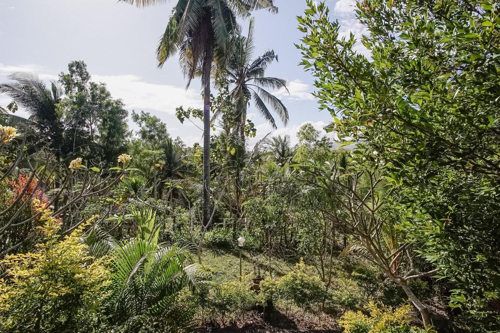 Penida Lapaya Bungalows Nusa Penida Sakti Dış mekan fotoğraf
